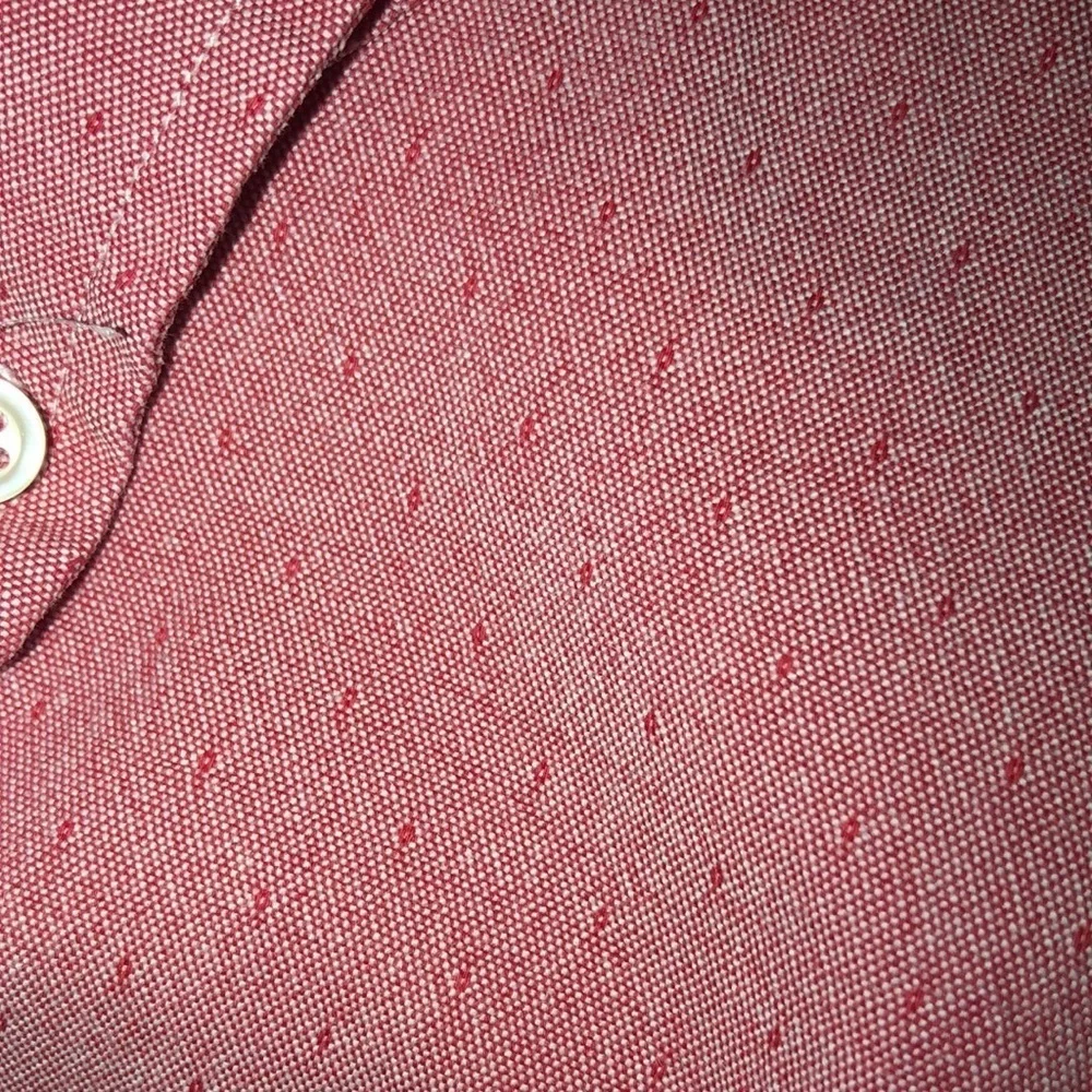 Banana Republic Pink Oxford Standard Shirt XL